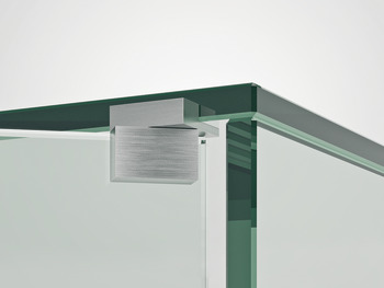 Balama pivot pentru ușă de sticlă, unghi de deschidere 210°, inox, exterior, pentru construcţii din sticlă