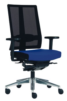 Scaun de birou, O4006, pernă pentru șezut: Husă din material textil, pernă pentru spate: Rețea